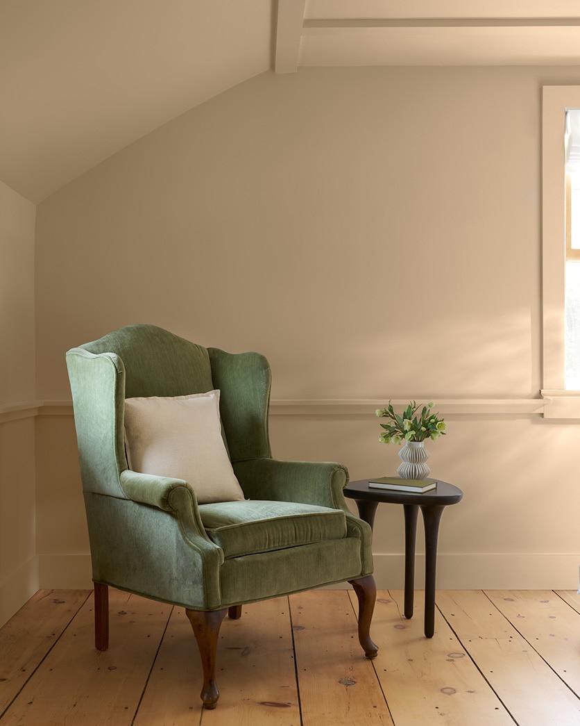 Painted wall in Wild Mushroom CC-336