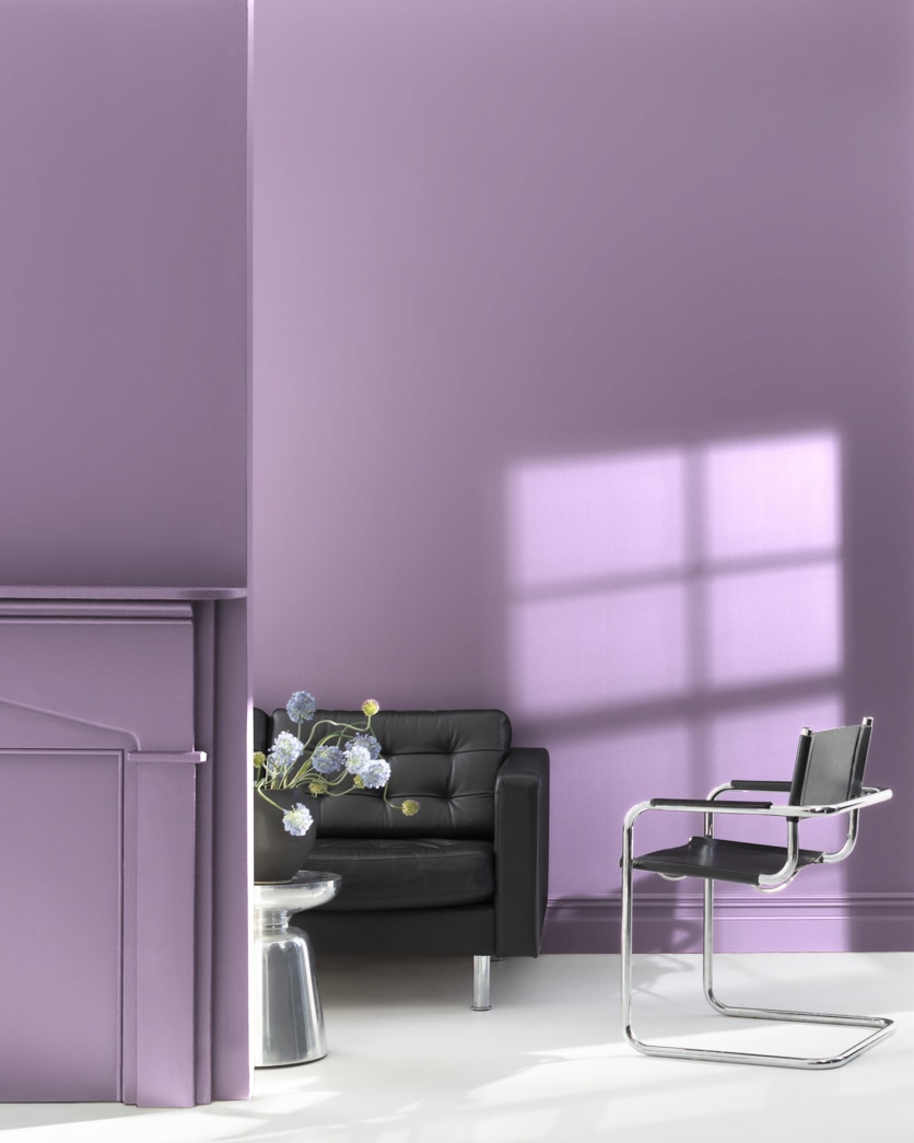 Painted wall in Wild Orchid 2072-40