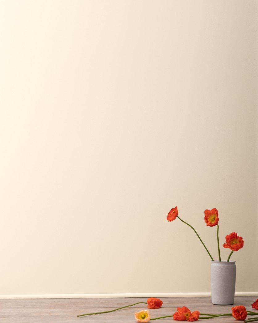 Painted wall in Wood Ash 1065