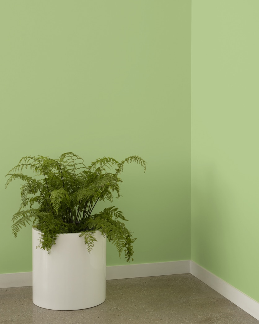 Painted wall in Woodland Hills Green 543