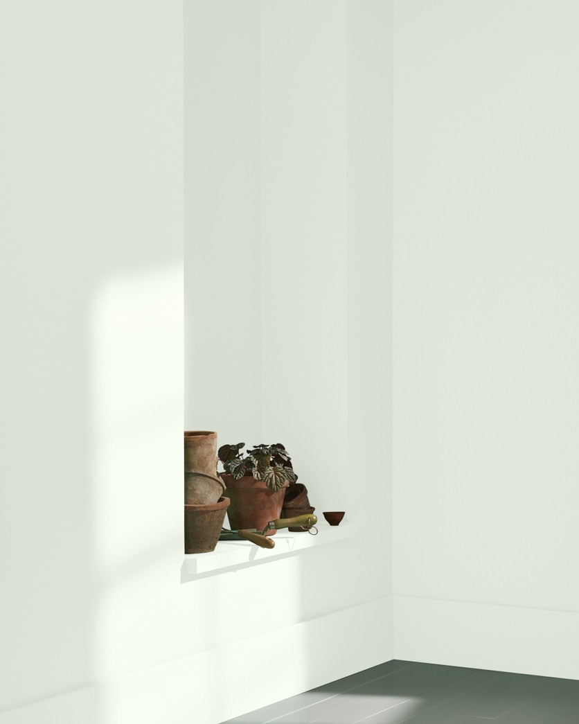 Painted wall in Woodland White 463