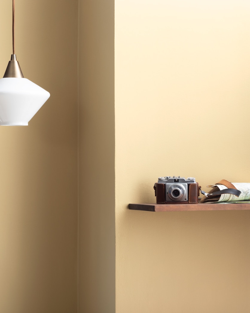 Painted wall in Yellow Bisque 220
