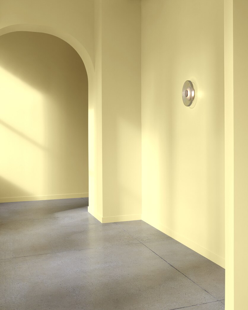 Painted wall in Yellow Clover 375