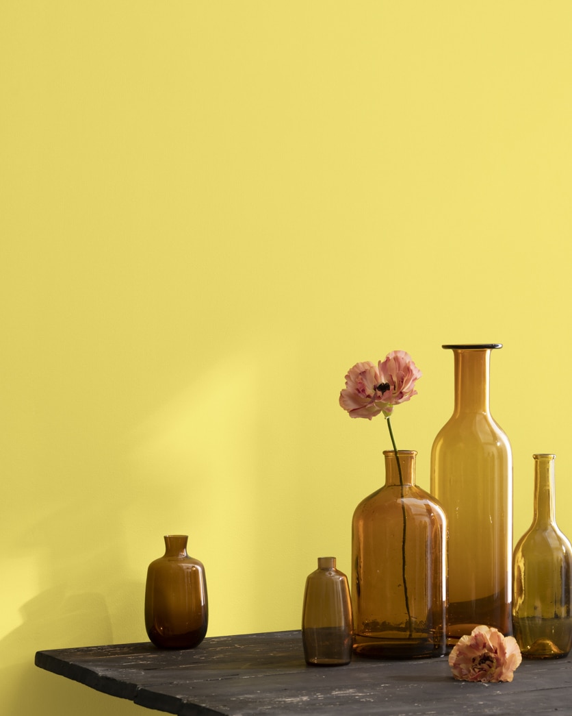 Painted wall in Yellow Finch 2024-40
