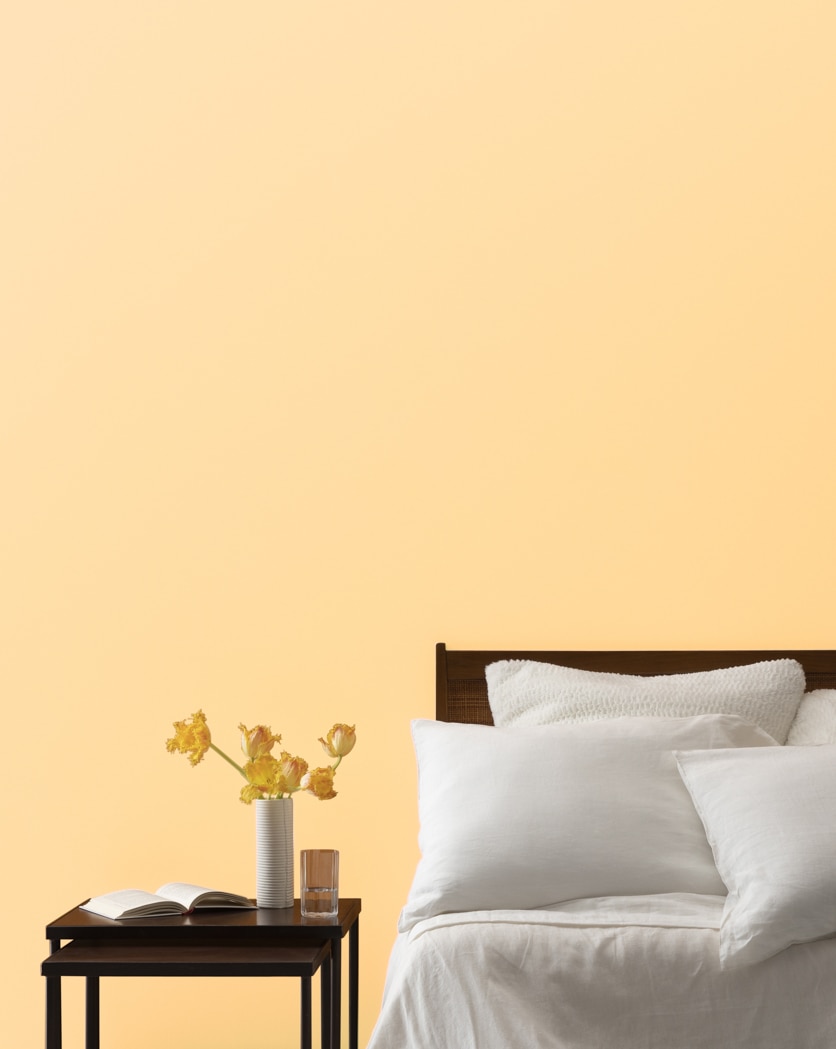 Painted wall in Yellow Haze 2017-50