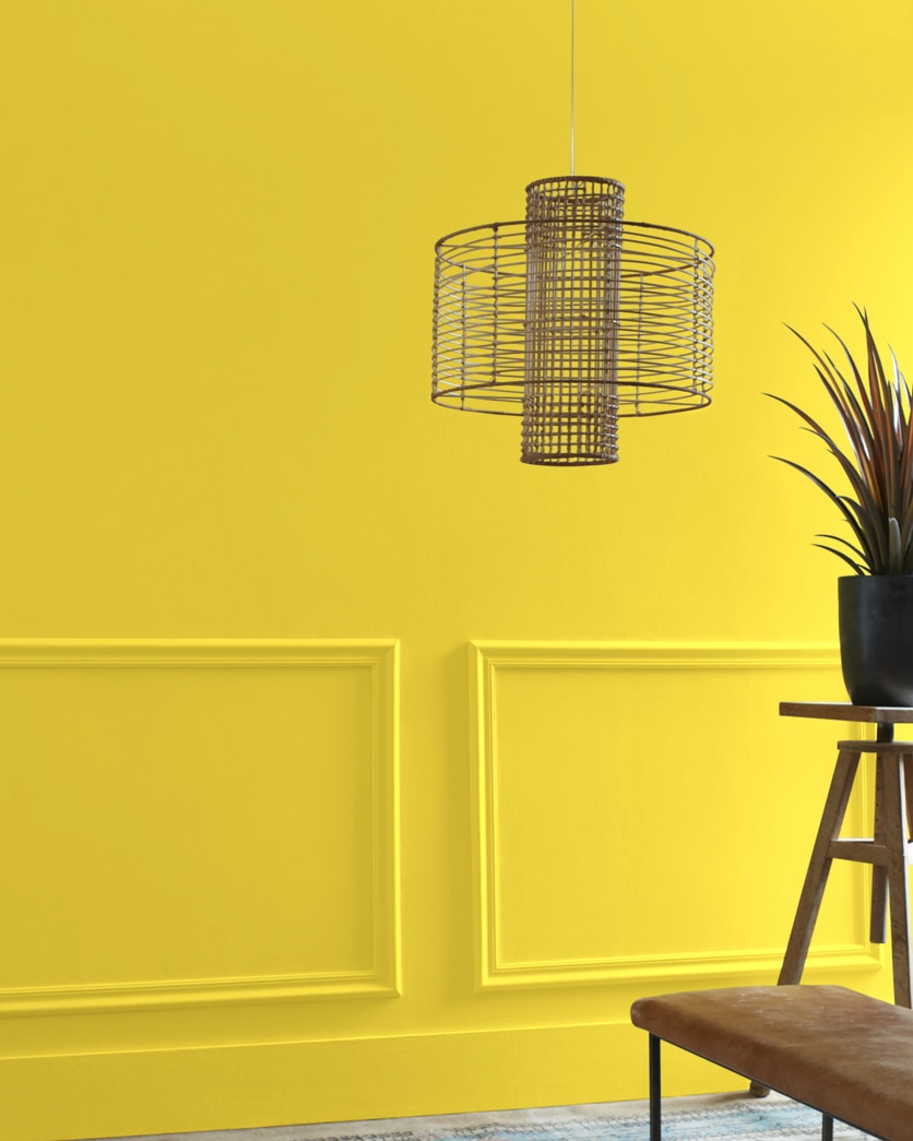 Painted wall in Yellow Hibiscus 357