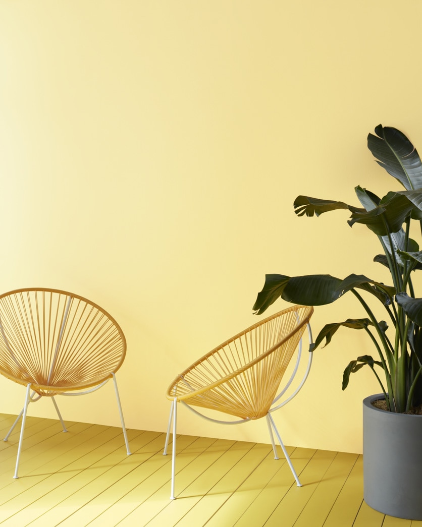 Painted wall in Yellow Lilies 346