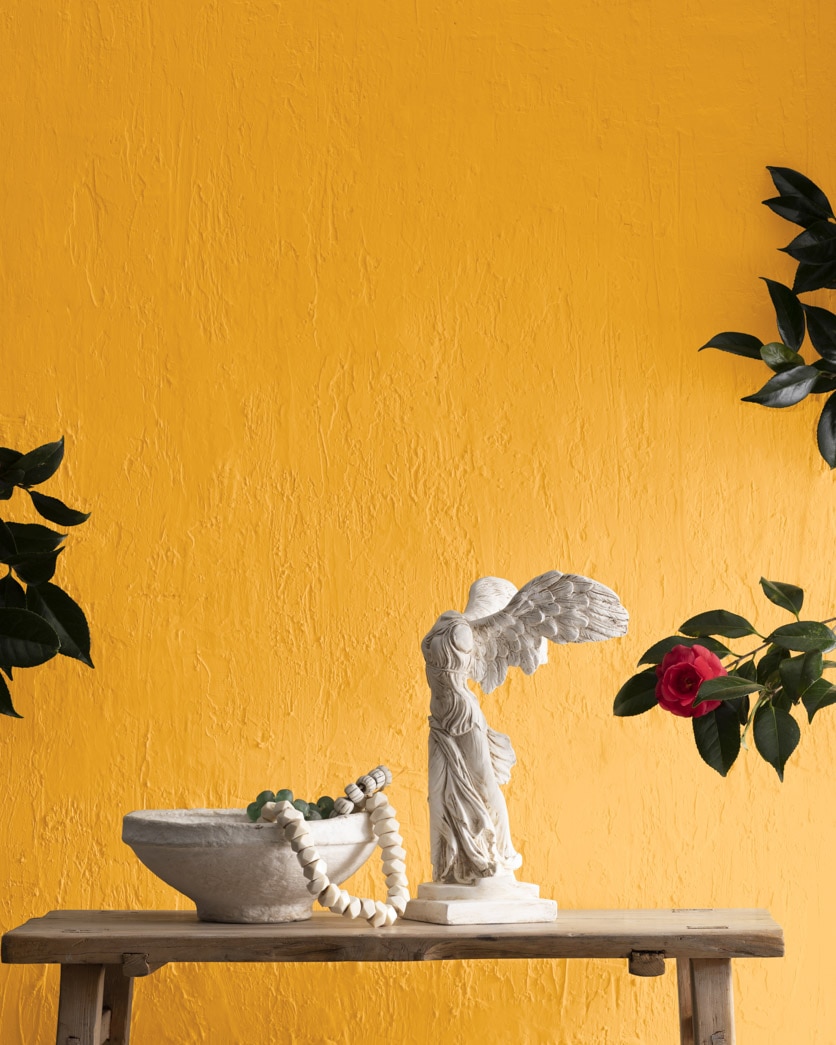 Painted wall in Yellow Marigold 2155-30