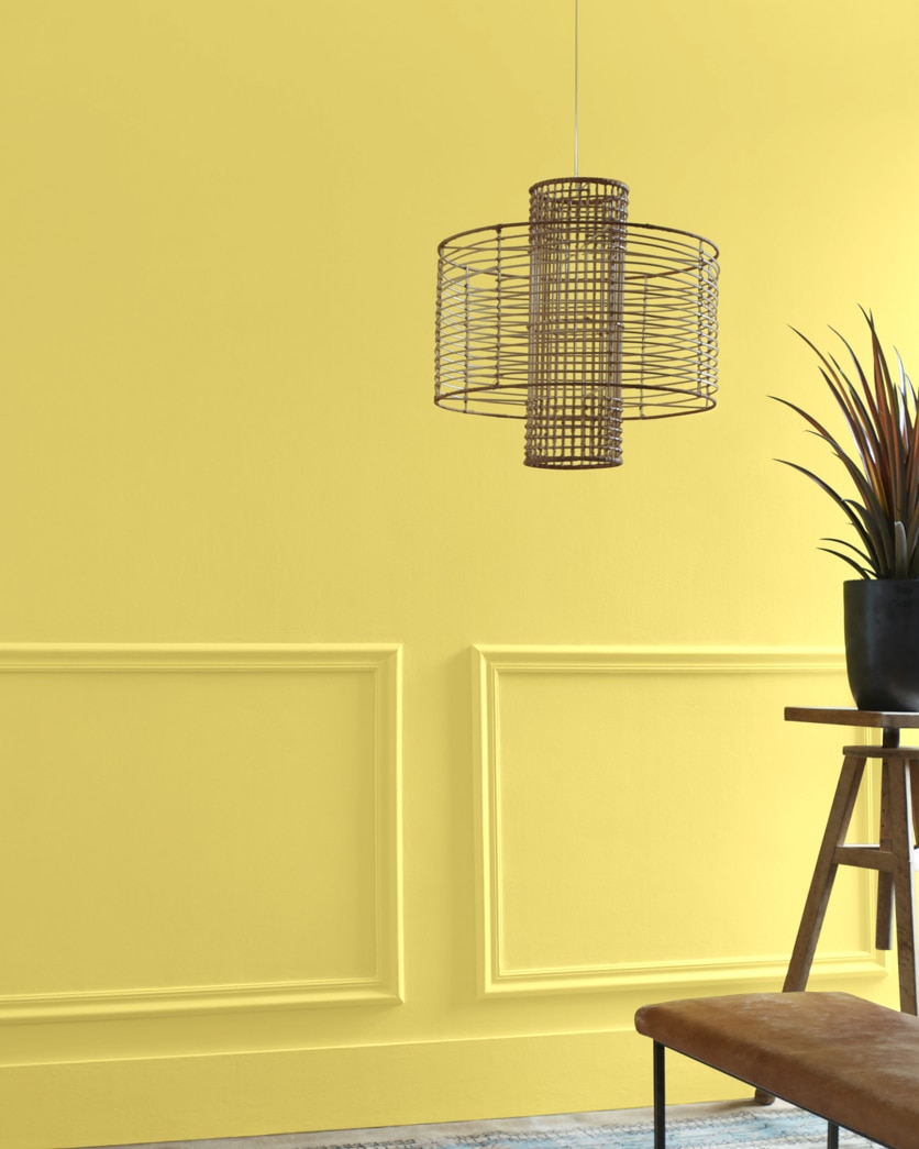 Painted wall in Yellow Tone 370