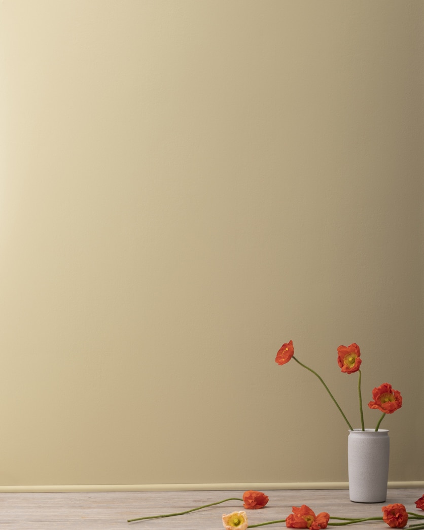Painted wall in Yorkshire Tan HC-23